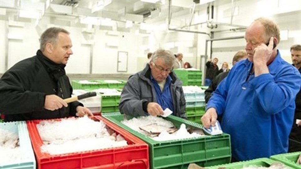 Rødspætter til jul Nyheder Fisk er godt